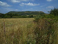 Upravený raw | Petr Koritina Upravený raw