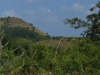 Výřez (R) | Petr Koritina Výřez (R)