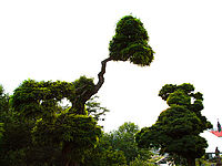 Vytažené stíny | Petr Koritina Vytažené stíny