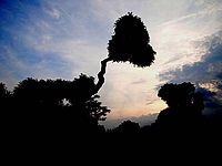 Vytažená světla | Petr Koritina Vytažená světla