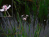 Od vody... (R) | Petr Koritina Od vody... (R)