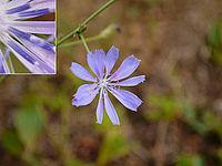 1/1000, f/3,4, ISO100, 50mm (R) | Petr Koritina 1/1000, f/3,4, ISO100, 50mm (R)