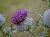 Celkový pohled | Petr Koritina Celkový pohled