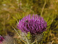 Celkový pohled | Petr Koritina Celkový pohled