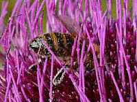 1/4000, f/8,9, ISO1600, 50mm (R) | Petr Koritina 1/4000, f/8,9, ISO1600, 50mm (R)