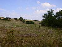 Krajinka,1/100,f/11,3, ISO100, 14mm (R)