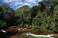 Biotop NP Guanacaste