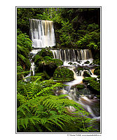 Obr. 6: Hráz Černohorského potoka