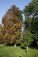 Obrázek č. 9