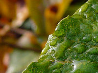 Výřez (R) | © Petr Koritina Výřez (R)