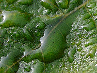 Výřez (R) | © Petr Koritina Výřez (R)