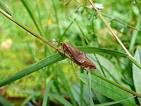 1/30 s, f/2.80, ISO100, 34.00 mm | © Petr Koritina 1/30 s, f/2.80, ISO100, 34.00 mm