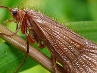 Výřez (R) | © Petr Koritina Výřez (R)