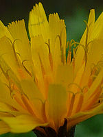 Výřez (R) | © Petr Koritina Výřez (R)