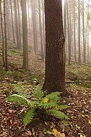 WB zataženo | © Petr Koritina WB zataženo