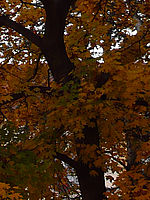 1/250 s, f/2.80, ISO100, 32.00 mm (R) | © Petr Koritina 1/250 s, f/2.80, ISO100, 32.00 mm (R)