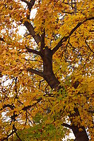 Celek | © Petr Koritina Celek