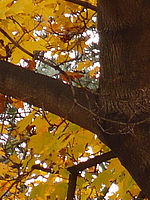 1/25 s, f/4.90, ISO100, 128.00 mm (R) | © Petr Koritina 1/25 s, f/4.90, ISO100, 128.00 mm (R)