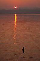 1/125 s, f/8.00, ISO100, 107.00 mm | © Petr Koritina 1/125 s, f/8.00, ISO100, 107.00 mm