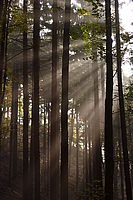 1/125 s, f/4.00, ISO100, 73.00 mm