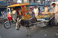 Páňdžáb, Sargodha