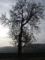 1/1600 s, f/4.00, f=7.40 mm | © Petr Koritina 1/1600 s, f/4.00, f=7.40 mm