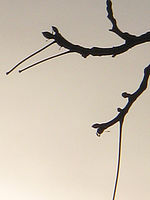 Výřez (R) | © Petr Koritina Výřez (R)