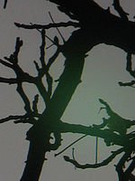 Výřez (R) | © Petr Koritina Výřez (R)