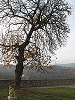 1/320 s, f/4.00, f=7.40 mm | © Petr Koritina 1/320 s, f/4.00, f=7.40 mm