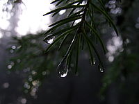 1/80 s, f/4.00, f=6.30 mm, ISO: 100