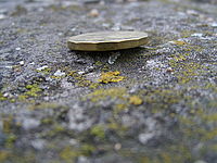 1/3 s, f/2.80, f=6.30 mm, ISO: 100