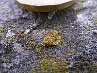 1.0 s, f/2.80, f=6.30 mm, ISO: 200