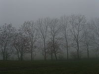 1/400 s, f/4.00, f=6.30 mm, ISO: 100