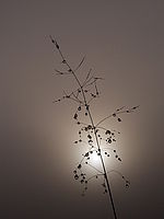 1/1500 s, f/8.50, f=15.40 mm, ISO: 100