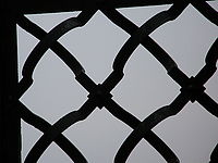 1/200 s, f/4.00, f=44.70 mm, ISO: 100