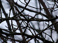 1/100 s, f/4.00, f=44.70 mm, ISO: 100 (R)