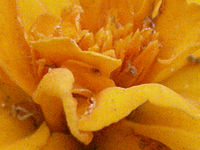 Výřez (R)