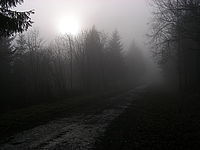 1/348 s, f/5.60, 38.00 mm, ISO: 50, V inverzi | © Petr Koritina 1/348 s, f/5.60, 38.00 mm, ISO: 50, V inverzi