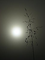 1/1000 s, f/13.60, 172.00 mm, ISO: 50 | © Petr Koritina 1/1000 s, f/13.60, 172.00 mm, ISO: 50