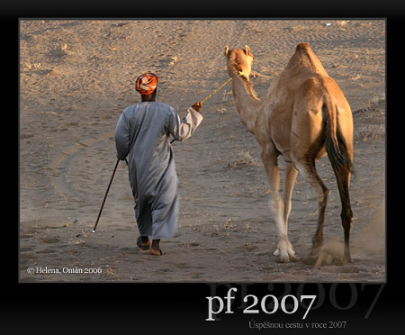 PF2007