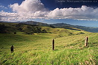 Podhůří rezervace Monteverde