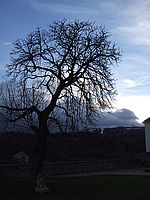 Náhled, 1/420 s,  f/5.00, F/8.00 mm