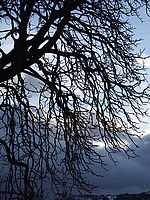 Náhled, 1/300 s,  f/7.10, F/24.00 mm