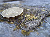 Náhled, 1/120 s,  f/2.80, F/8.00 mm