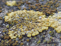 Výřez (R), 1/120 s,  f/2.80, F/8.00 mm,ISO: 100