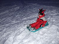 Náhled, 1/60 s,  f/2.80, F/8.00 mm