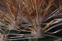 Výřez (R), 1/6 s, f/2.80, F/5.80 mm, | © Petr Koritina Výřez (R), 1/6 s, f/2.80, F/5.80 mm,