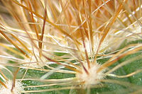 Výřez (R), 1/3 s, f/5.60, F/5.80 mm, | © Petr Koritina Výřez (R), 1/3 s, f/5.60, F/5.80 mm,