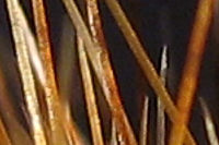 Výřez (R), 1/20 s, f/2.80, F/5.80 mm, | © Petr Koritina Výřez (R), 1/20 s, f/2.80, F/5.80 mm,