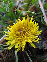 Náhled, 1/60 s, f/2.80, F/5.80 mm | © Petr Koritina Náhled, 1/60 s, f/2.80, F/5.80 mm